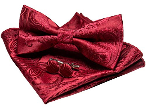 JEMYGINS Noeud Papillon Homme Bourguignon en Soie Paisley Réglable et Boutons de Manchette et Carré de poche Ensemble Compris boîte