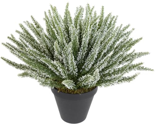 Seidenblumen Roß Großes Erika-Heidekraut im Topf DP, 36x42 cm, Weiß | Wetterfeste Outdoor Dekopflanze, UV-beständiger Erikabusch Kunststrauch für Garten Terrasse Grab, täuschend echte Pflanze