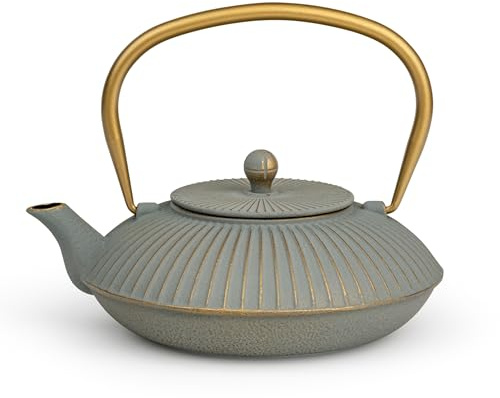 Bredemeijer tetera plana gris Asia inducción 1.1 litros - pequeña tetera esmaltada de hierro fundido con filtro de té de acero inoxidable