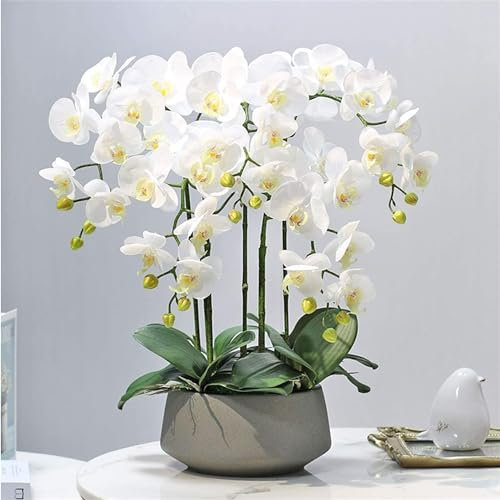 SdaryWare Orchidée Artificielle 60 cm, phalaenopsis Artificiel avec Vase en céramique, élégante décoration d'orchidées artificielles, Rose Rouge 60 cm, Blanche 60 cm,White-60cm