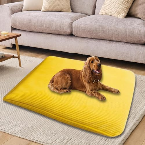 ping bu Großes Hundebett, waschbar, luxuriöse Hundematte mit abnehmbarem Bezug, Haustierkissen, weiches Hundekissen, Schlafkissen, Haustierbetten, Kistenmatratze (Gelb, 45 x 60 cm)
