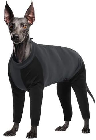 Hund Onesie, Bodys Hunde Overall Genesungsanzug Hund Nachtwäsche Onesie Hundebody Langarm 4 Beine Pyjama ChirurgischeEinteiler für Weibliche/Männliche Hund(Grau, L)
