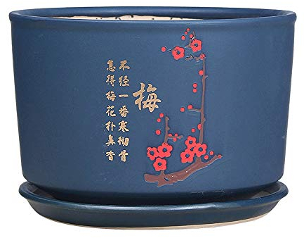 GImLY Keramik-Blumentopf im chinesischen Stil, Bonsai-Topf, Kaktus-Behälter, Garten-Pflanzgefäß, Balkon, Tischdekoration, Ornamente, Handwerk, kreative, fleischige, grüne Pflanze, Desktop-Topf