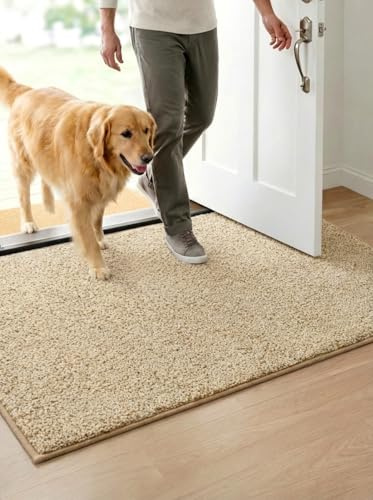 WELLTURN 50×80cm Tappeto Ingresso Interno Antiscivolo e Super Assorbente – Paillasson Lavabile in Morbida Microfibra con Base in Gomma, per Cucina, Bagno, Corridoio, Casa e Animali – Beige