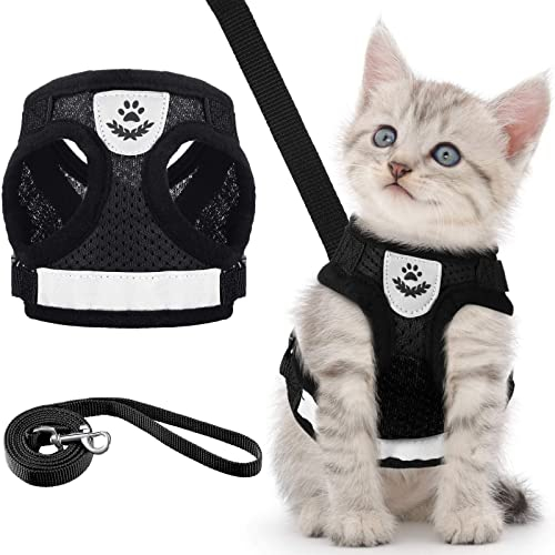 Welpen/Katzen Geschirr und Leine Sets Ausbruchsicher Weich Mesh Verstellbare Westen Geschirre Hunde Katzen Haustier Atmungsaktiv Mesh Gurt für Outdoor Training Gehen, XS (Schwarz)