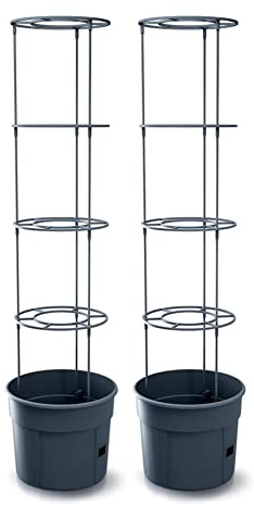Prosperplast Tomate Grower Pflanzkübel aus Kunststoff in Anthrazit (L) x 39,2 cm (B) x 31,5-153 cm (H) (Groß | 2 Stück)
