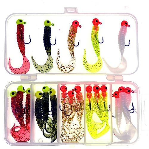 Wurm Soft Köder Set - 20 Stück Künstlicher Regenwurm mit Ringelschwanz und Kasten, Jigköpfe Worm Lure Haken Angelköder Kunststoff Angeln Zubehör