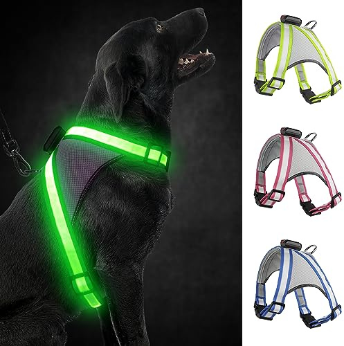Visinite LED Hundegeschirr mit Licht, Aufladbar, 2 Beleuchtungsmodi, Einstellbares Leuchtgeschirr für Hunde, Sicherheit Beim Nachtgehen