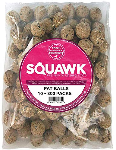 SQUAWK Suet Fat Balls | Premium Garden Wild Bird Food | Enhanced Year-Round Formula | Naturally Blended, High in Energy & Protein-Rich Feed | Full of Fresh Nutritious Fat Fibre & Moisture (10 Pack)