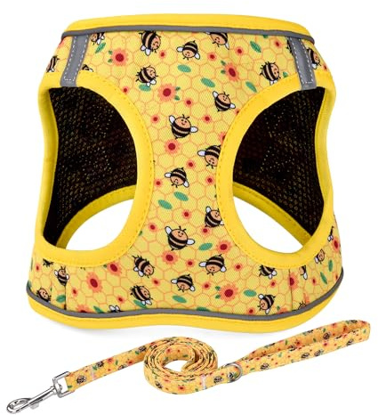 Mihqy Step in Dog Harness and Leash Set, Reflective Adjustable No Pull Dog Harness for Extra-Small/Small Dogs Puppy and Cats, Soft Padded Mesh Vest Harnesses for Girl and Boy Pets(Bee,S)