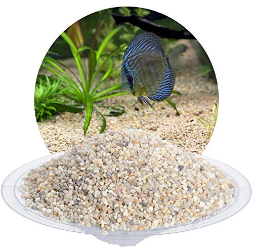 Schicker Mineral Aquariumkies beige 25 kg 2,0-3,15 mm, grober Aquariumsand | Gewaschen, ungefärbt, kantengerundeter Bodengrund, Kies für Süßwasseraquarien, Meerwasseraquarien, Aquascaping, Aquarium