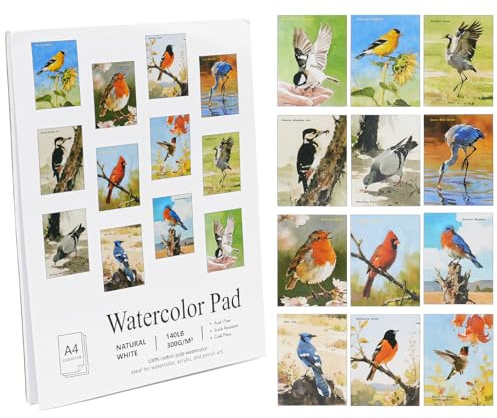 RGBMIX 12 Sheets Bird Watercolor Paper Book 9x12'' Watercoloring Paper Arts Water Coloring Pad Paint Stress-Relief Painting Pad Art Painting Supplies Ideal for Beginners