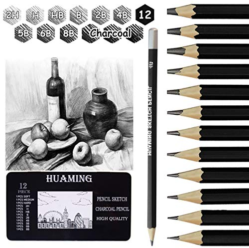 Surcotto Bleistifte Set, 9 Bleistifte mit 3 Kohlestifte, 1 Spitzer, 1 Radiergummi, 2H H HB B 2B 4B 5B 6B 8B, Zeichenstifte für Anfänger Künstler, professionelle Graphitstift