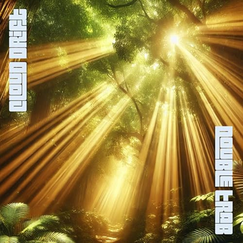 Light Through the Canopy