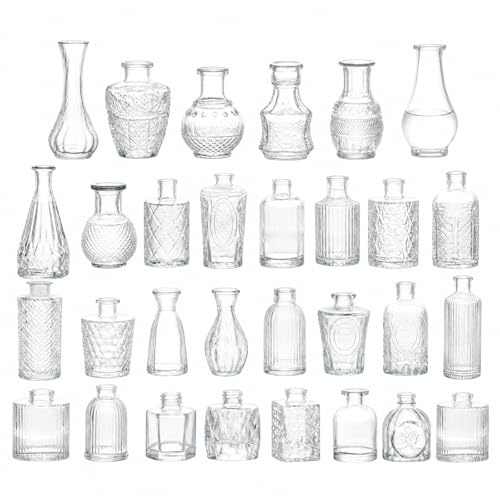 Jafurnestia 30 Glasvasen Set, Vintage Kleine Vasen Blumenvasen Mini Glas vasen für Trockenblumen & Frischblumen, Dekovasen Transparent, Tischdeko Hochzeit Geburtstag Wohnzimmer Küche