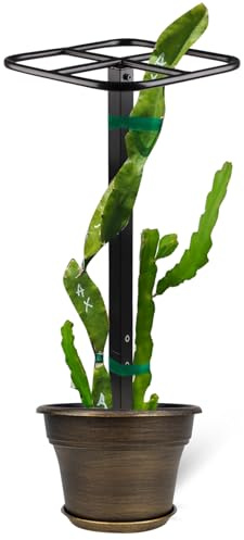Premium Rankgitter Drachenfrucht – Robustes Metallspalier für vertikale Garten- und Kletterpflanzen – 30,5 x 30,5 x 127 cm