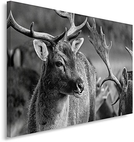 Feeby Bilder Hirsch XXL 120x80 cm 1 Teilig Wohnzimmer Schlafzimmer Büro Flur Küche Wandbilder Leinwandbilder Modern Bild auf Leinwand Wanddekoration Design Natur Schwarz und Weiß