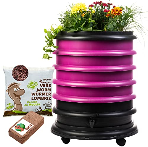 WORMbox | Wormery Worm Farm composter 4 Raspberry Trays + Planter + 1kg of Compost Worms / 2000 ctn + 1 Coco | 64 liters | Organic Waste Compost, make your Worm Castings