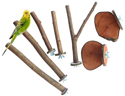 7 Vogel Sitzstangen Natur frisch Wellensittich Käfig frisch geschnitten Sitzbretter Vögel Käfig Vogelstange Haselnuss Holz Vogel Spielzeug Sitzstangen für Wellensittich Nymphensittich Kanarienvogel