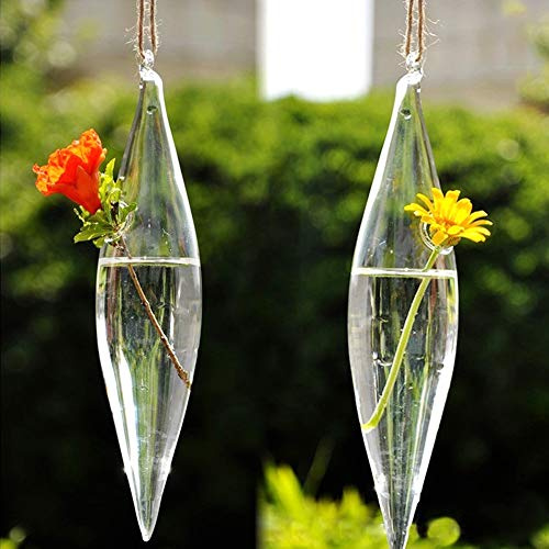Sxhlseller Elegant Hängande Glasblommorvas för Hemträdgårdsdekoration, Rustik Stil Klarglasflaska med Rep för Kontoret i Sovrummet i Vardagsrummet, Material med Högt Borosilikatglas