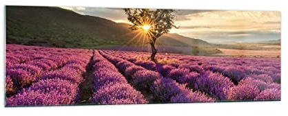 Bilder auf Glas 160x50cm Wandbild Glasdruck Botanik Landschaften - 3645 | Lavendel Gebirge Feld Panorama Groß XXL Modern Dekoration Wohnzimmer Schlafzimmer Küche Wanddeko Kunstdruck Art ARTTOR