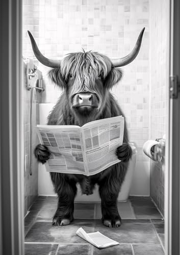 Hochlandrind auf WC, Poster DIN A4 ohne Rahmen, Toilette Badezimmer Deko Bild, Wand-Deko Bilder Lustiges Geschenk