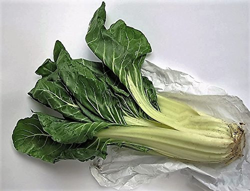 300 Lucullus Swiss Chard (Beta Vulgaris Blanc perpétuel d'épinards Graines de légumes