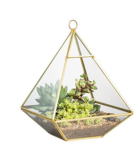 NCYP 15x15x20cm Hanging Pyramid Glass Geometric Terrarium for Succulent Moss Air Plants Flower, Windowsill Tabletop Display Planter Pot, Home Garden Wall Mount Decor, Gold (No Plants Included)