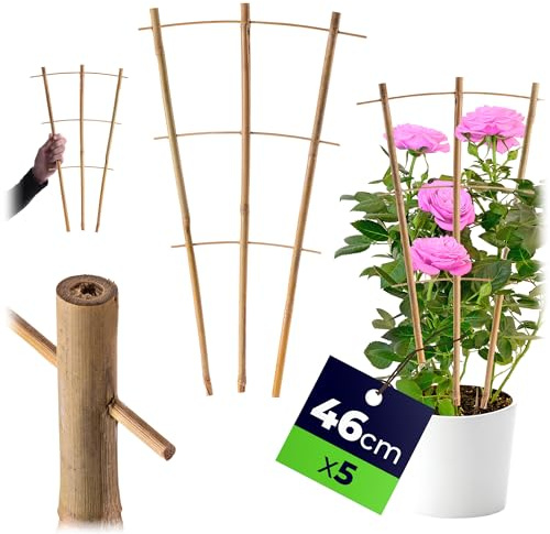 KADAX Rankgitter aus Bambus, 46 x 27 cm, 5er Set, Rankhilfe für Pflanzen, Pflanzengitter, Kletterhilfe & Pflanzstütze für Zimmerpflanzen & Kletterpflanzen