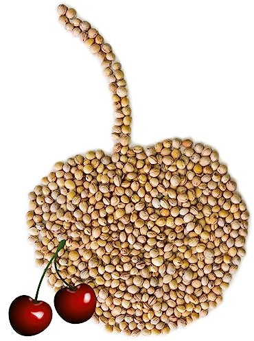 Kirschkerne lose für Wärmekissen 1-30 kg Kirschkernkissen Kissen Waermekissen Baby Füllung Körnerkissen Kerne Koernerkissen Füllmaterial Kirschkern Auswahl Petigi, Menge:5 kg (3.96EUR/kg)