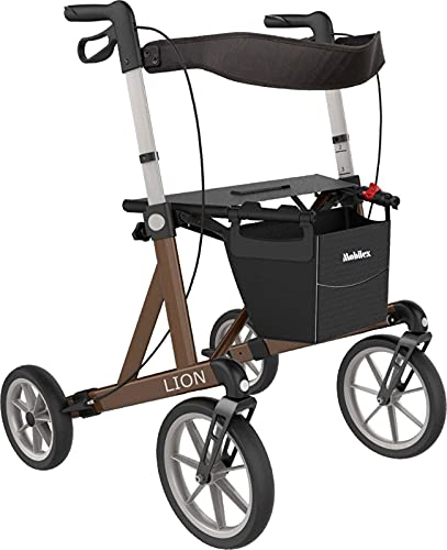 https://fabacare.de/compliance/ce_lion_rollator__312371_72_73_74__8497.pdf