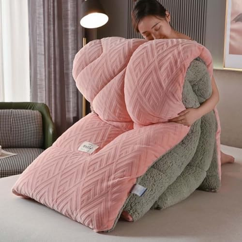 YWQJL Edredon Gonflant Duvet Couette Lourde Et Chaude Couverture Polaire Doux Et Confortable Couette en Tissu De Cachemire 220x240 Couverture Hiver Chaude(#8,200x230cm/3kg)