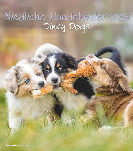 Alpha Edition - Niedliche Hundekinder 2025 Bildkalender, 30x40cm, Kalender mit hochwertigen Hundekinder-Motive, Mondphasen, Kalenderwochen, Ferientermine DE/AT/CH und deutsches Kalendarium: Dinky Dogs