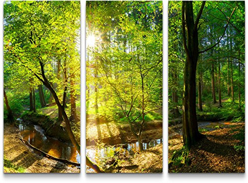Leinwandbilder | Bilder Leinwand 130x90cm Wald im Sonnenschein