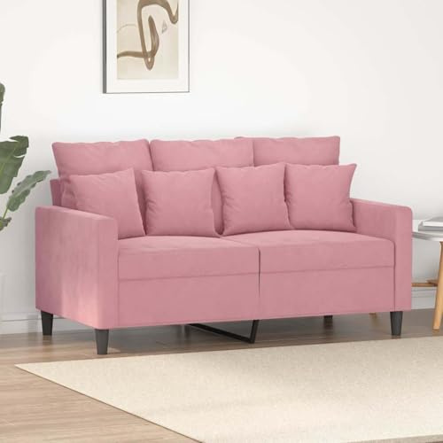 nestroco 2-Sitzer-Sofa Rosa mit Samtbezug 120 cm, modernes Design, stabiles Metallgestell, Bequeme Polsterung, ideal für Wohnzimmer, Gästezimmer oder Büro, platzsparend