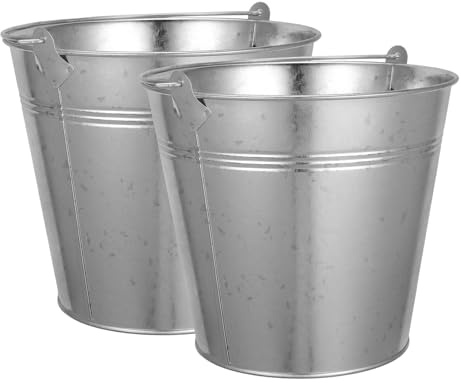 FUTUREORYY Secchio in Metallo per Cenere e Carbone 2 Pezzi Maniglia, Contenitore Compatto per Braciere e Barbecue, Bidone Resistente per Stoccaggio e Trasporto Cenere da Esterno e Cucina