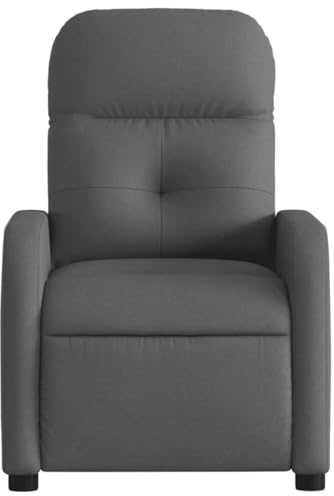 ZIRLANLV Poltrona Massaggiante Elettrica, Poltrona Relax con Funzione Reclinabile/Reclinabile/TV, Sedia Imbottita, Schienale Regolabile per Soggiorno, Tessuto Marrone Scuro (Grigio scuro #24)