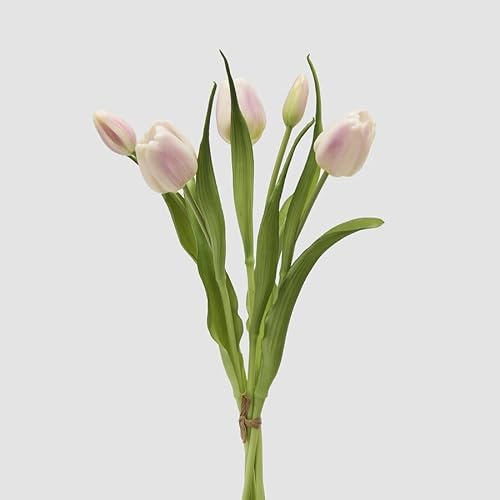 EDG Enzo De Gasperi Bouquete Tulipano Chiuso X4 H 40 Cm con Bocciolo Bianco Rosa