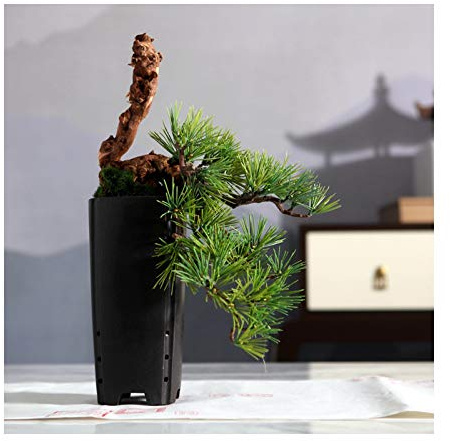 Konstgjord växt Japansk svart tall Bonsai Skrivbordsdekoration inomhus falska gröna växter krukväxt keramik kruka Hem skrivbord