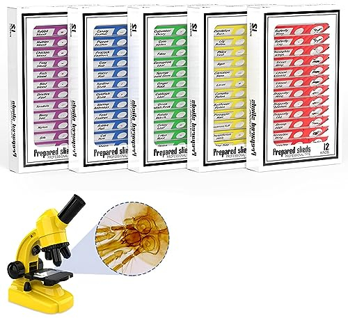 Ninyoon 60pcs Mikroskop Objektträger mit Proben für Kinder - Kinder präparierte Mikroskop Objektträger für Tiere, Insekten, Pflanzen, Blumen