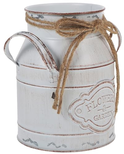 Luxshiny Pot de Fleurs Vintage en Fer Rustique Élégant, Pichet Décoratif Polyvalent Facile à Nettoyer, pour Décoration Intérieure ou Balcon