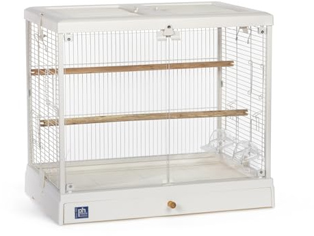 Prevue Pet Products Clear View Glass Standing Bird Cage - Ideal for Small Birds like Parakeets, Budgies, Finches, Cockatiel, & Lovebirds, Stand-Alone Birdcage - White