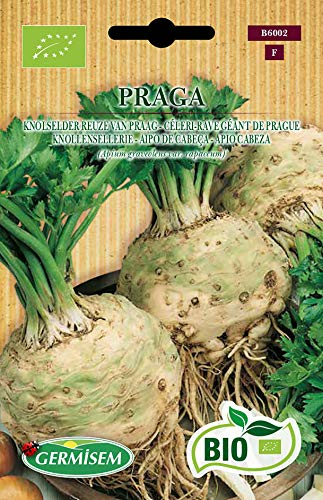 Germisem Orgánica Praga Semillas de Apio 2 g (ECBIO6002)