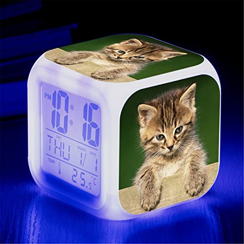 Martin Kench Wecker Katze Jungen Mädchen – Digital mit LED, Nachtlicht, Snooze – batteriebetrieben