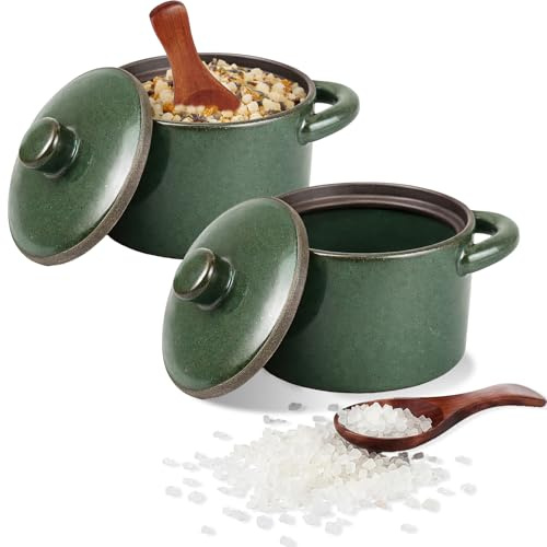 2 Pack 8 oz Ceramic Salt Cellar with Lid and Spoon, Speckled Salt Bowl | Rustic Farmhouse Spices Jar Storage Container for Housewarming Gift Kitchen Decor
