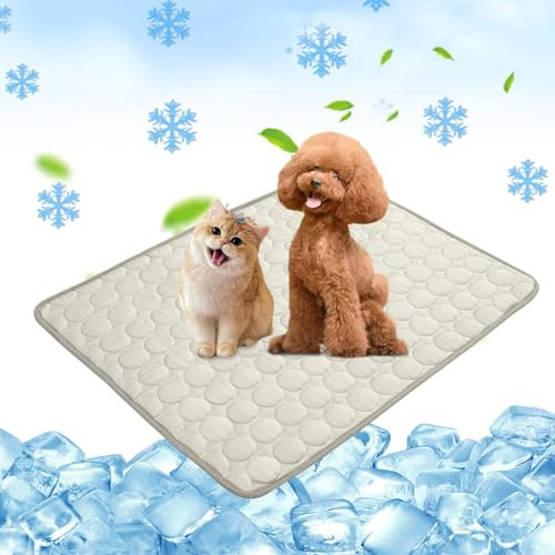 Chumix Kühlmatte Hund 60x50cm, Weichem Stoff Extra für Haustiere | Selbstkühlende Hundematte, Ungiftig Kühlkissen für Haustiere, Kühlmatte Katze, Ideal für Zuhause, Auto, Reisen
