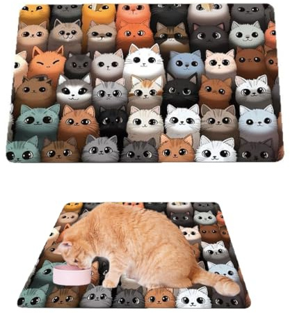 DOKRIN Tapis pour chats,Tapis de salle de bain en boue de diatomée pour animaux, sets de table antidérapants et résistants à l'usure (30 x 50 cm)