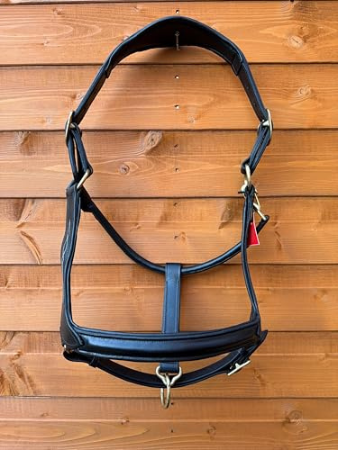 Premium Anatomical Leather Horse Black Headcollar Padded Comfort Fit with Brass Fittings (Cob)