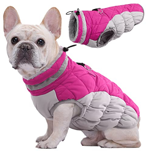 Kuoser Hundemantel Wasserdicht Warm Hundejacke für Mittelgroße Hunde, M | Wasserdichter Wintermantel Hund, Warme Hunde Winterjacke mit Reißverschluss, Reflektoren, D-Ring und verstellbarem Kordelzug