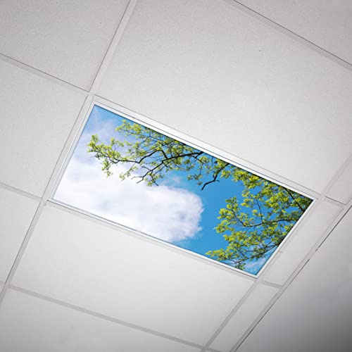 OCTO LIGHTS Tree Fluorescent Light Covers 2x4 Fixtures (22.38 x 46.5) Ceiling Light Cover for Classroom and Office, Decorative Light Covers for Ceiling Lights, Office Light Covers - (Pack of 1)